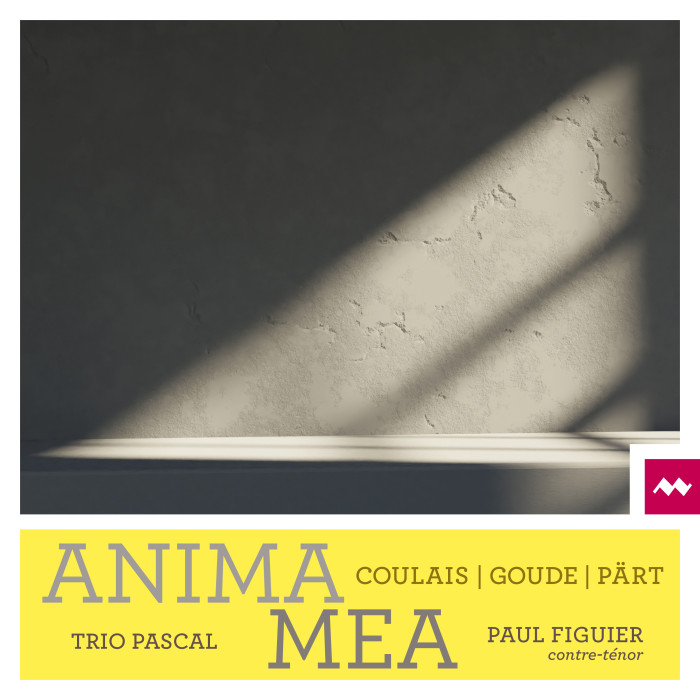 <p><strong>Anima Mea</strong></p><p>Paul Figuier, contre-ténor<br />Trio Pascal</p>